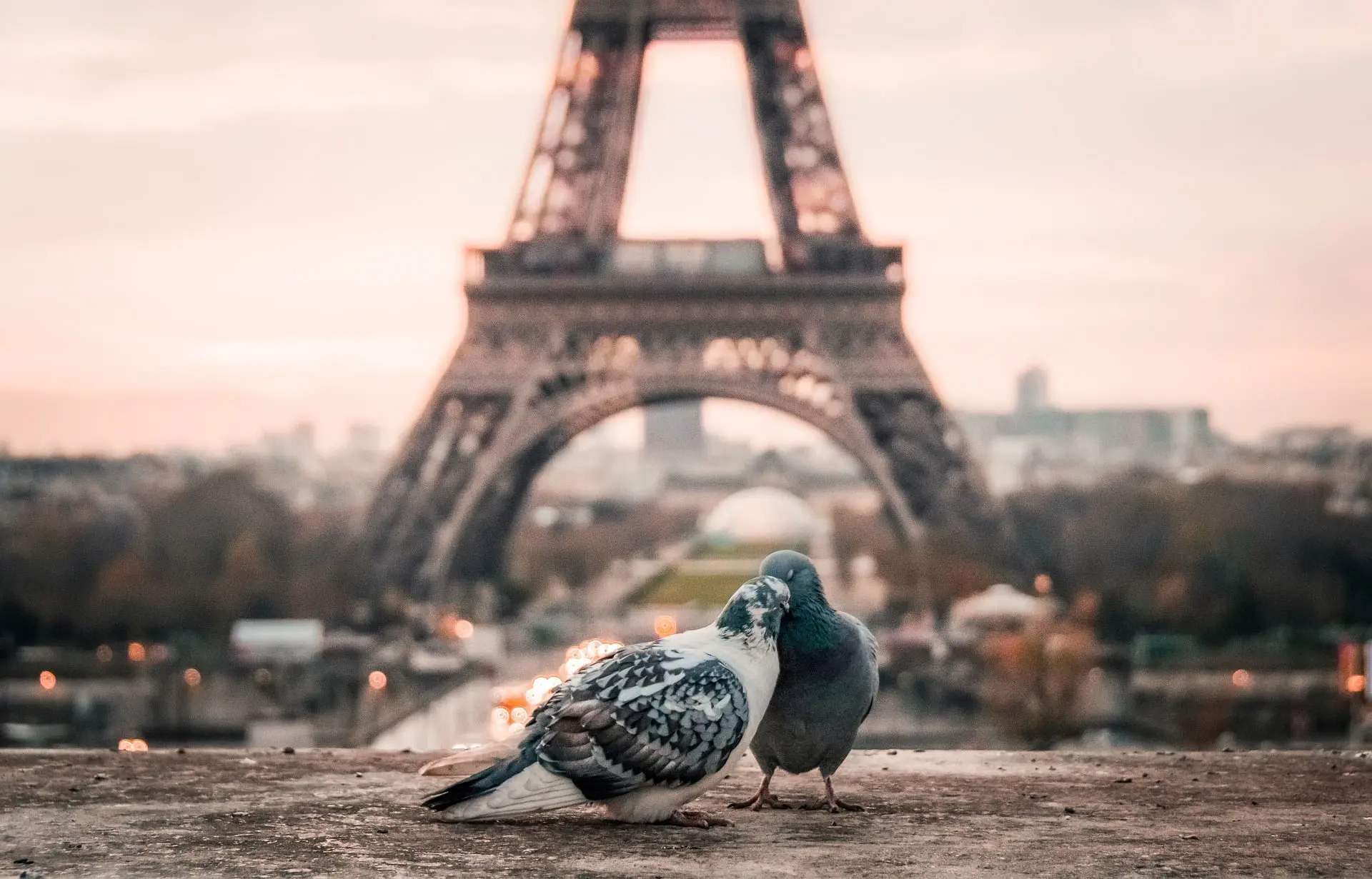 40 Amazing Facts About Paris