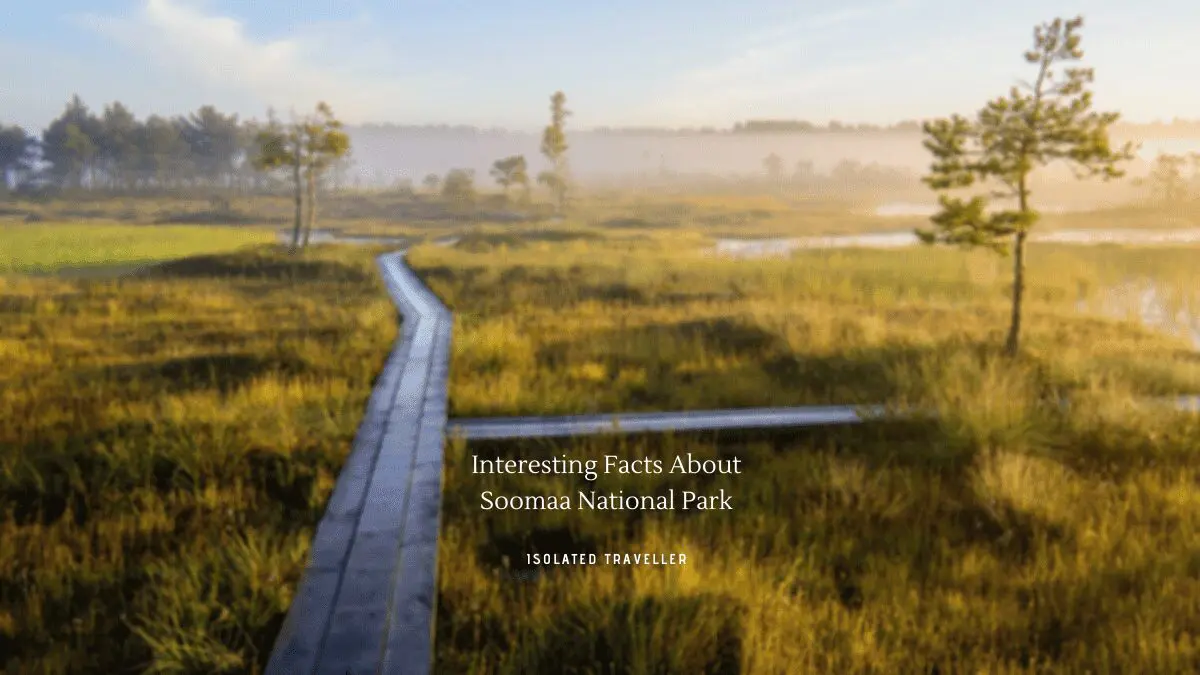 5 Interesting Facts About Soomaa National Park