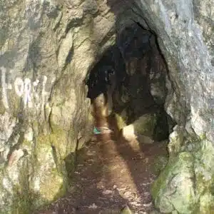 Goldsland Woodland And Caves