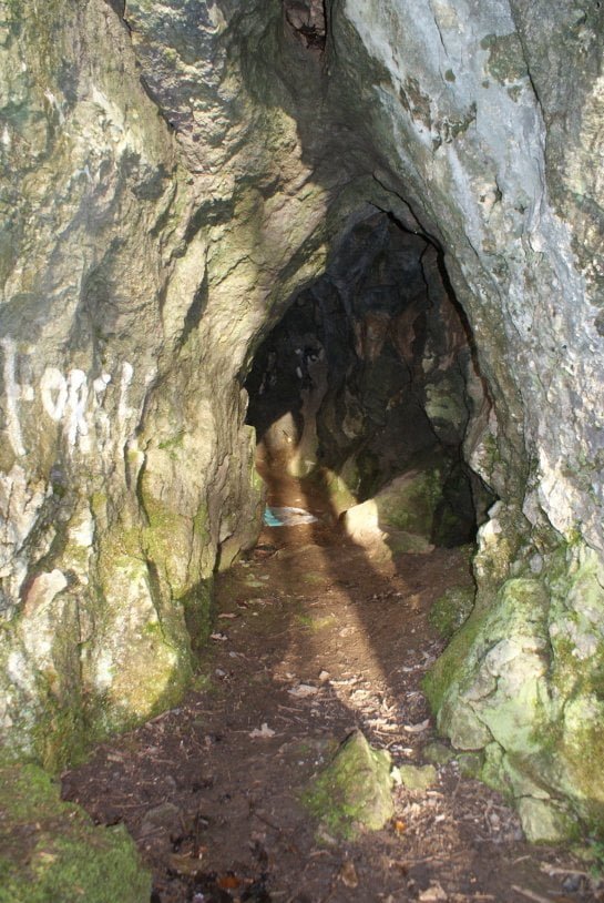 Goldsland Woodland And Caves