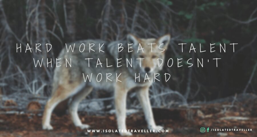 HARD WORK BEATS TALENT WHEN TALENT DOESNT WORK HARD Quotes