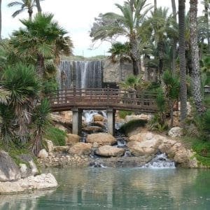 Parque El Palmeral