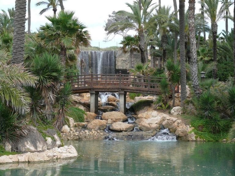 Parque El Palmeral