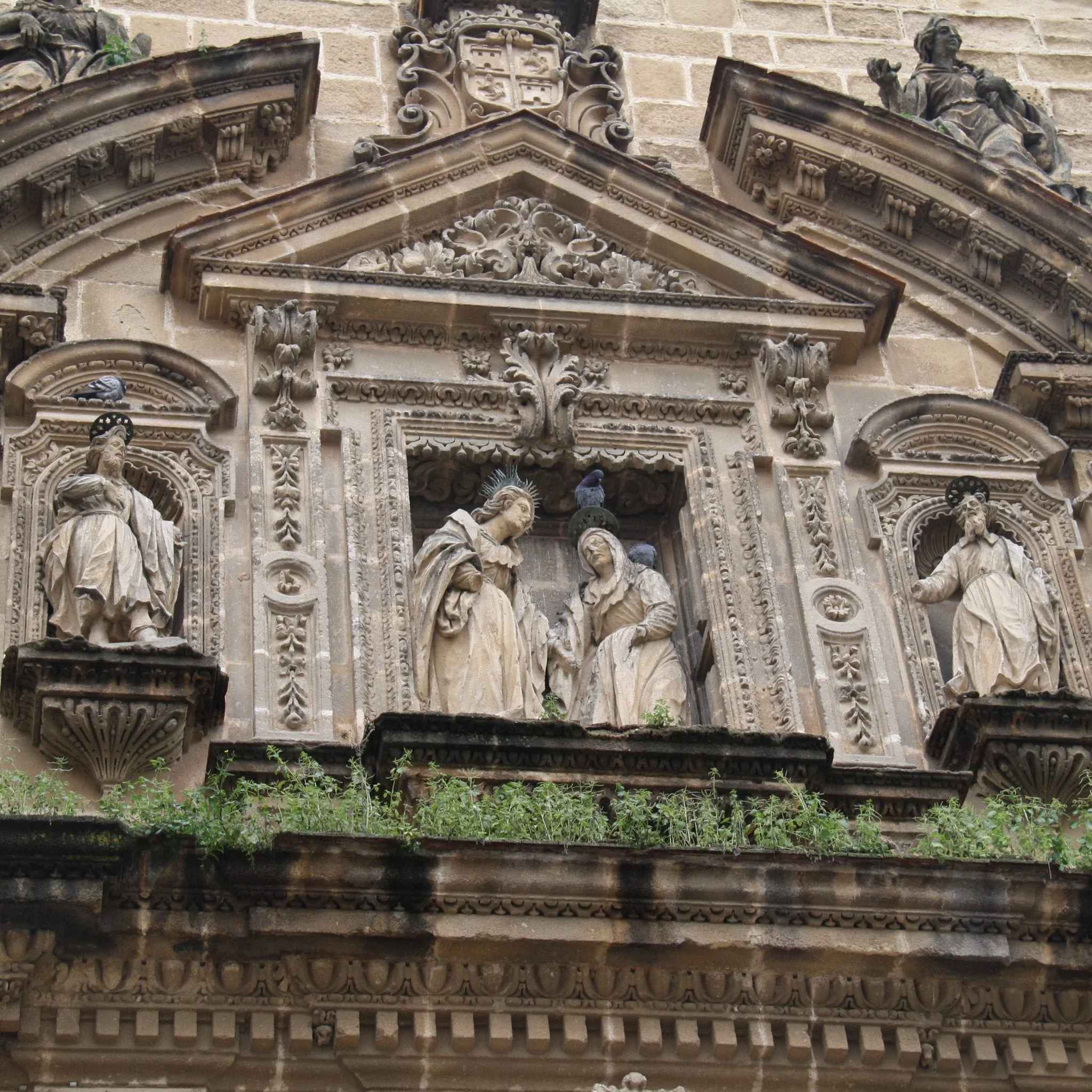 Photos of Jerez de la Frontera