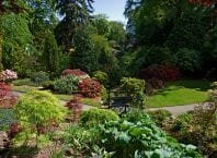 Johnston Gardens