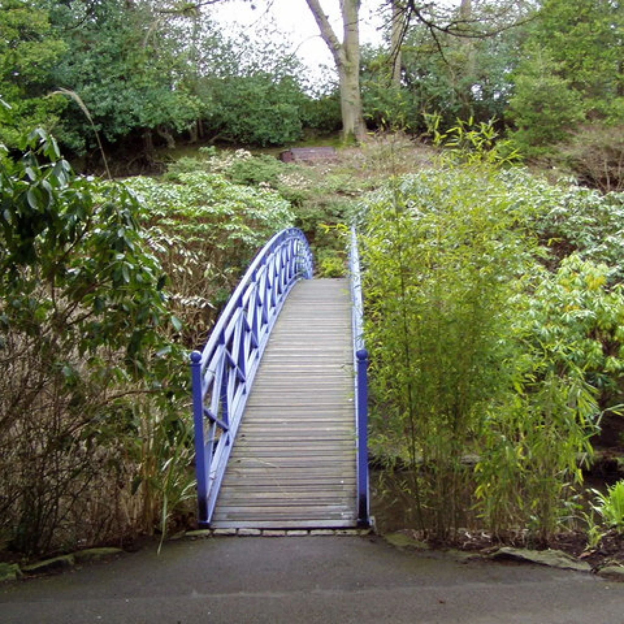 Johnston Gardens