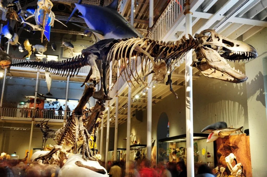 Museum of Scotland