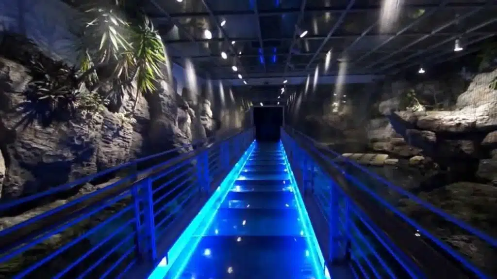 Aquarium of Genoa