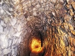 10 Amazing Facts about Exeter