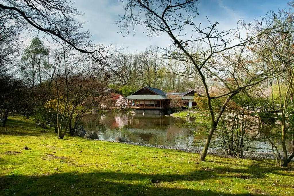 Japanese Garden