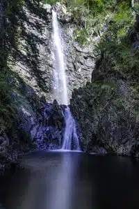 Plodda Falls