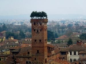 Guinigi Tower