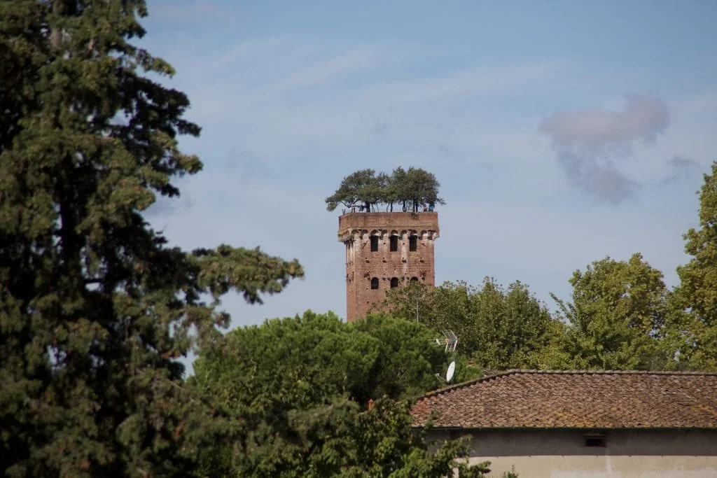 Guinigi Tower