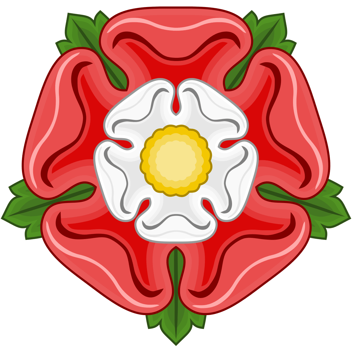 National Flower of England Tudor Rose