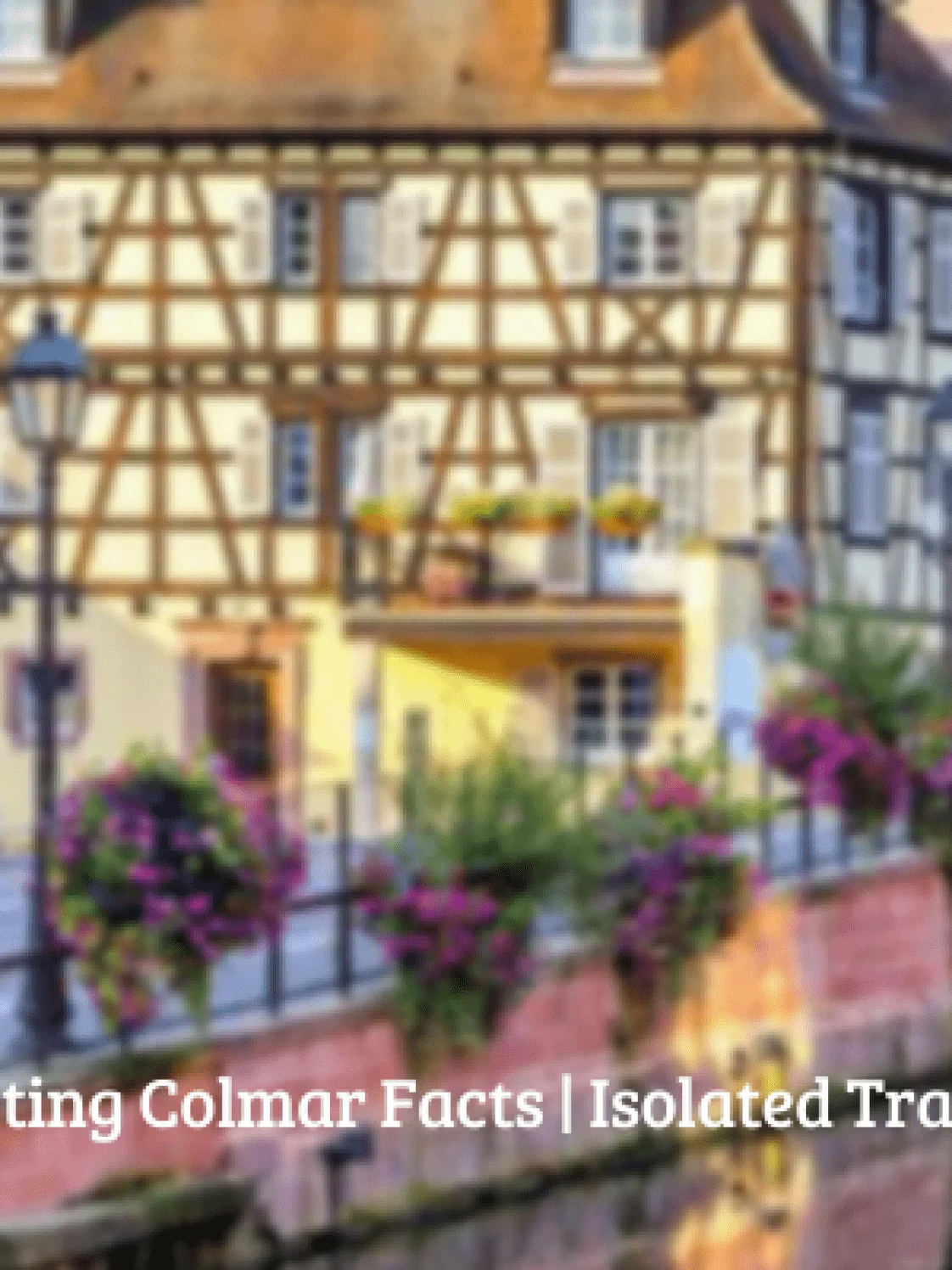 10 interesting colmar facts 1 Colmar Facts