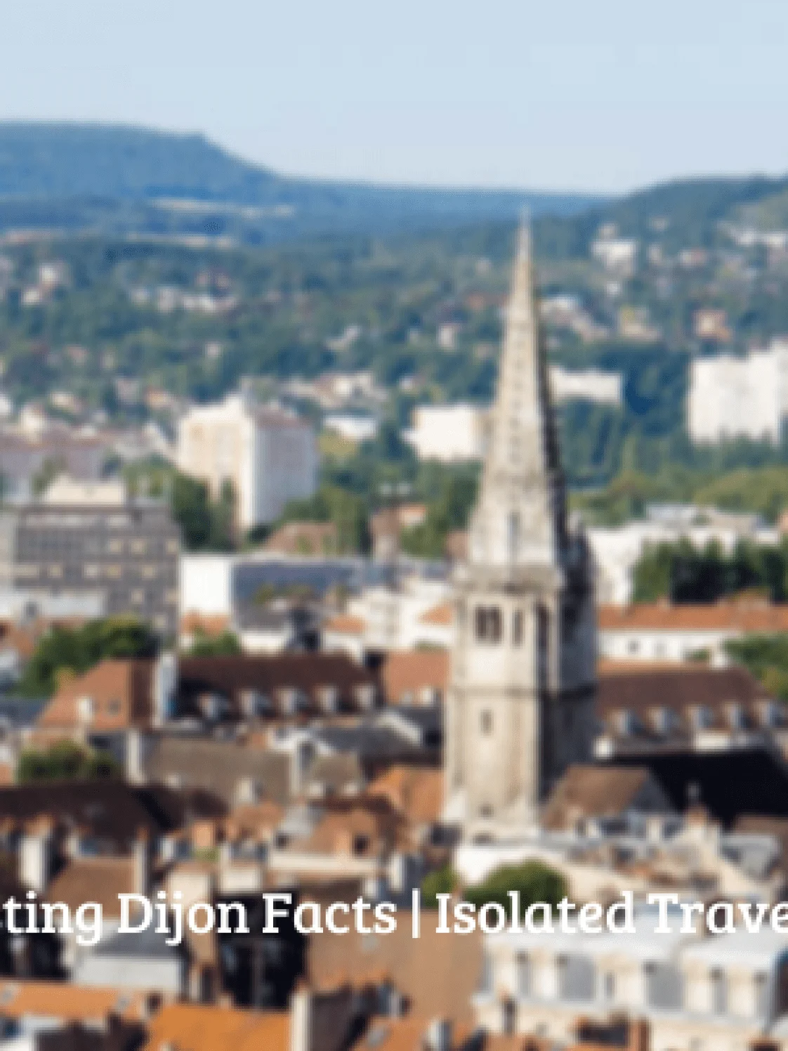 10 interesting dijon facts 1 Dijon Facts