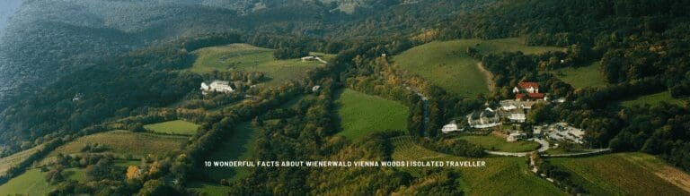 10 Wonderful Facts About Wienerwald Vienna Woods 6 10 Wonderful Facts About Wienerwald Vienna Woods
