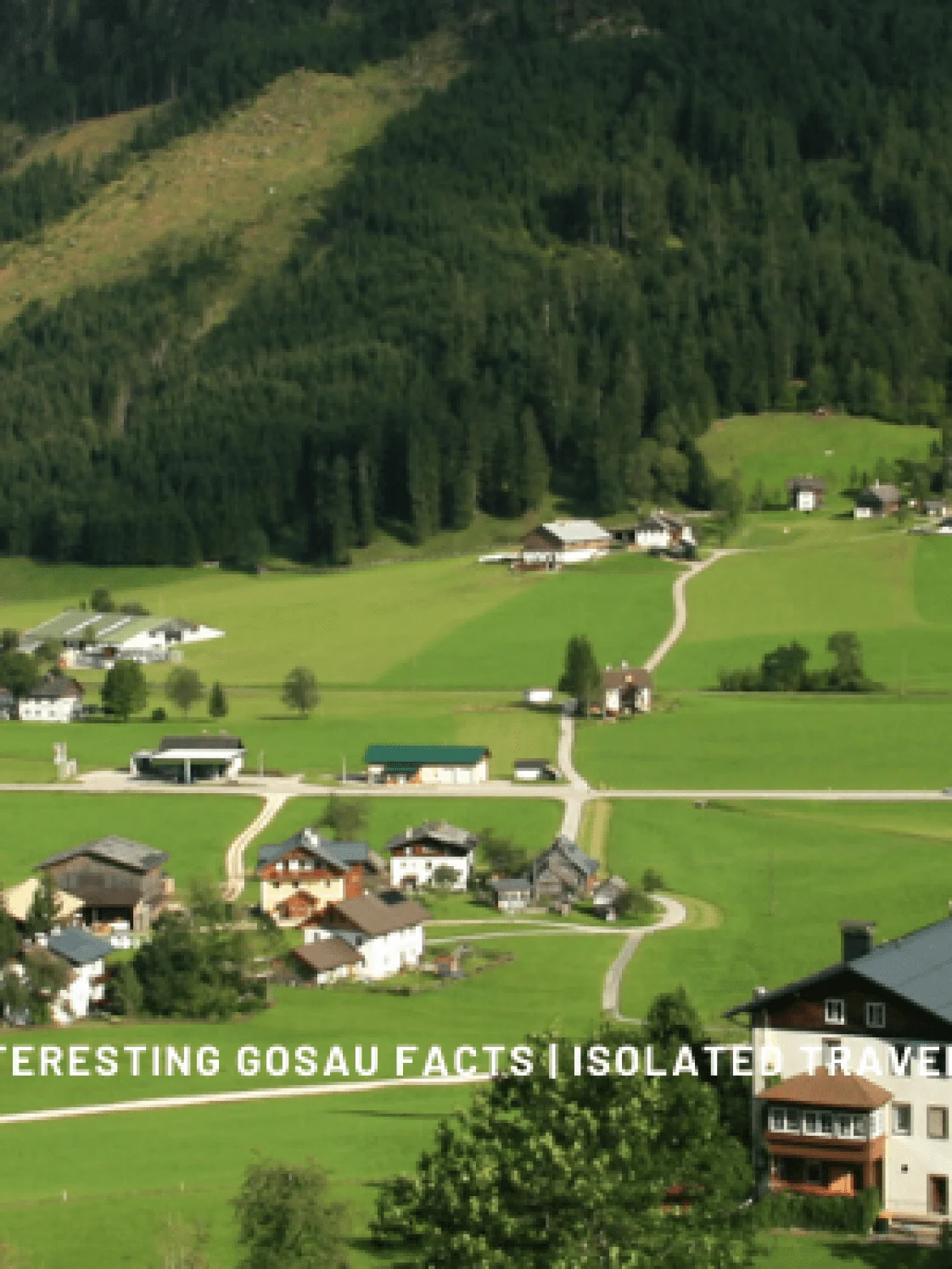 5 interesting gosau facts 2 Gosau Facts