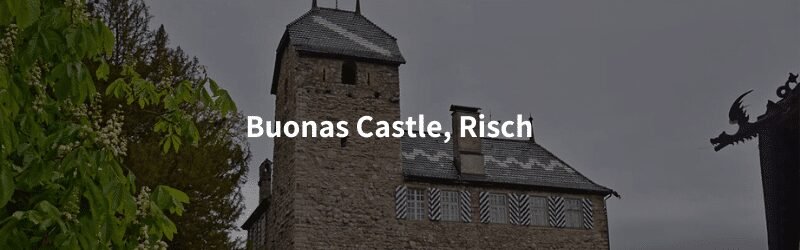 buonas castle risch Castles in the canton of Zug