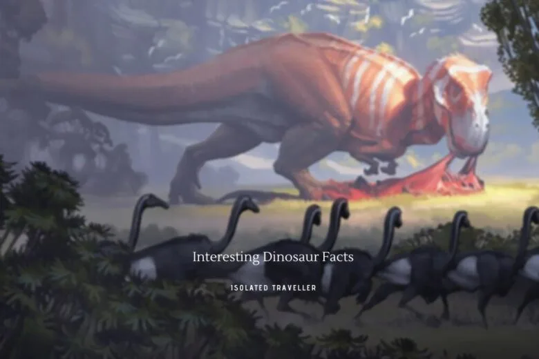Interesting Dinosaur Facts