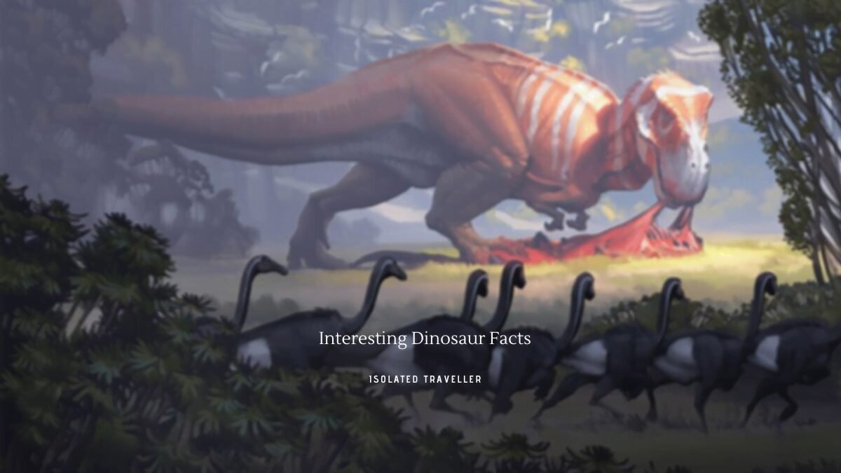 43 Interesting Dinosaur Facts
