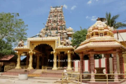 Interesting Facts About Vavuniya: Sri Lanka’s Northern Gateway and Cultural Crossroads