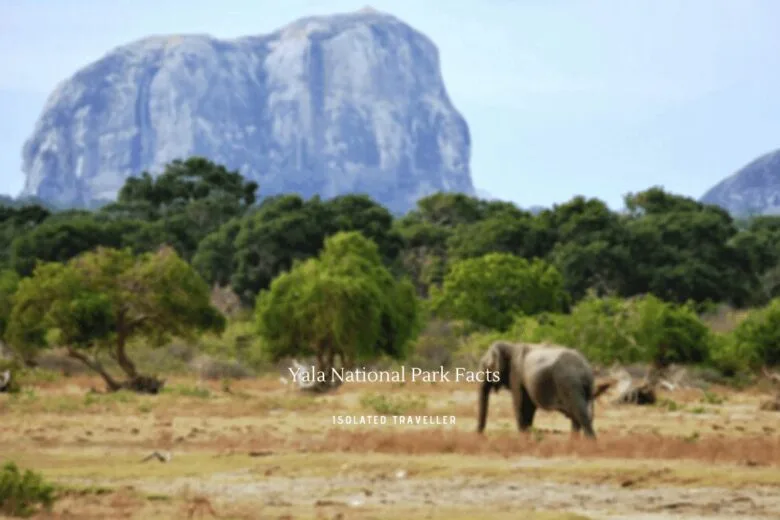 Yala National Park Facts