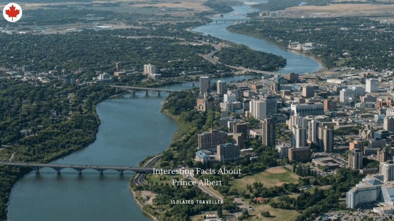 10 Interesting Facts About Prince Albert