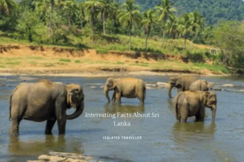20 Interesting Facts About Sri Lanka