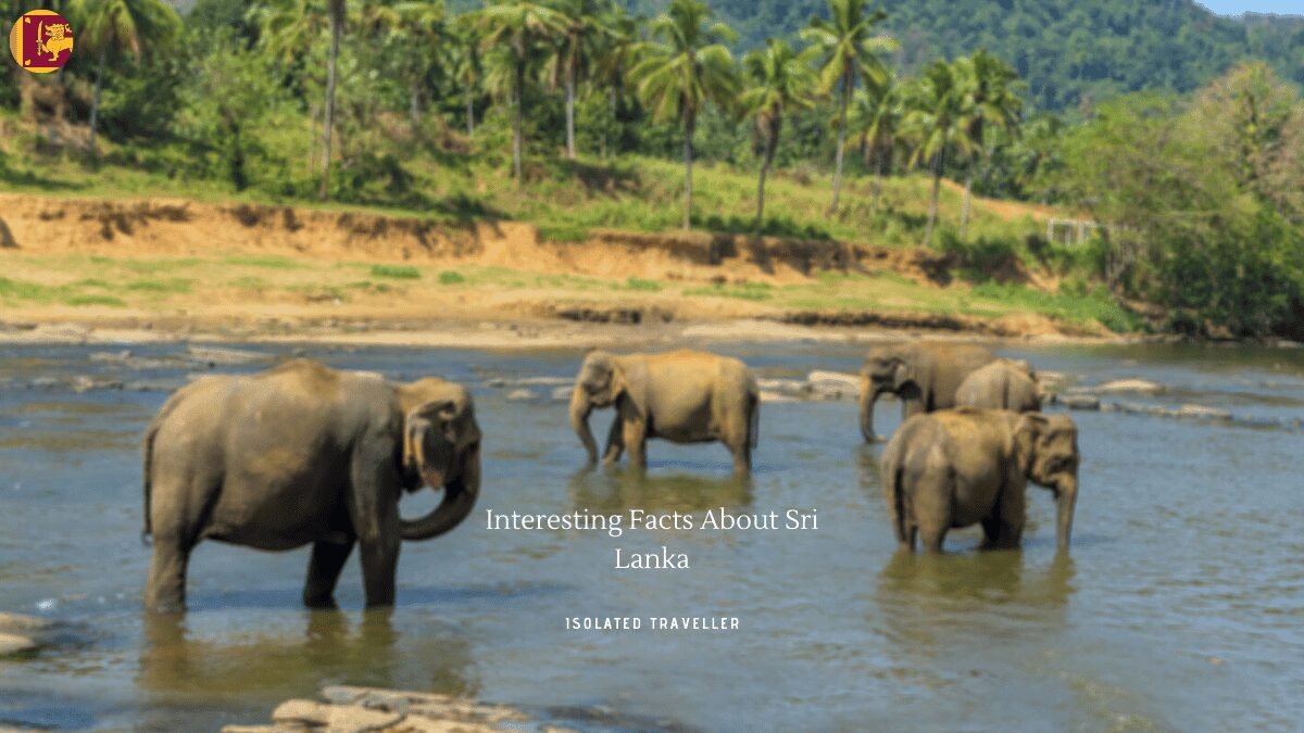 Interesting Facts About Sri Lanka