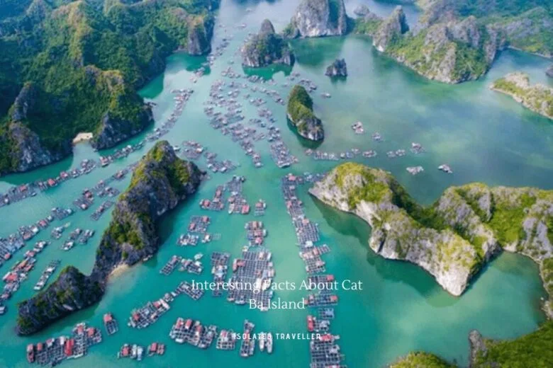 Facts About Cat Ba Island