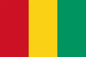 Guinea Flag