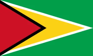 Guyana Flag