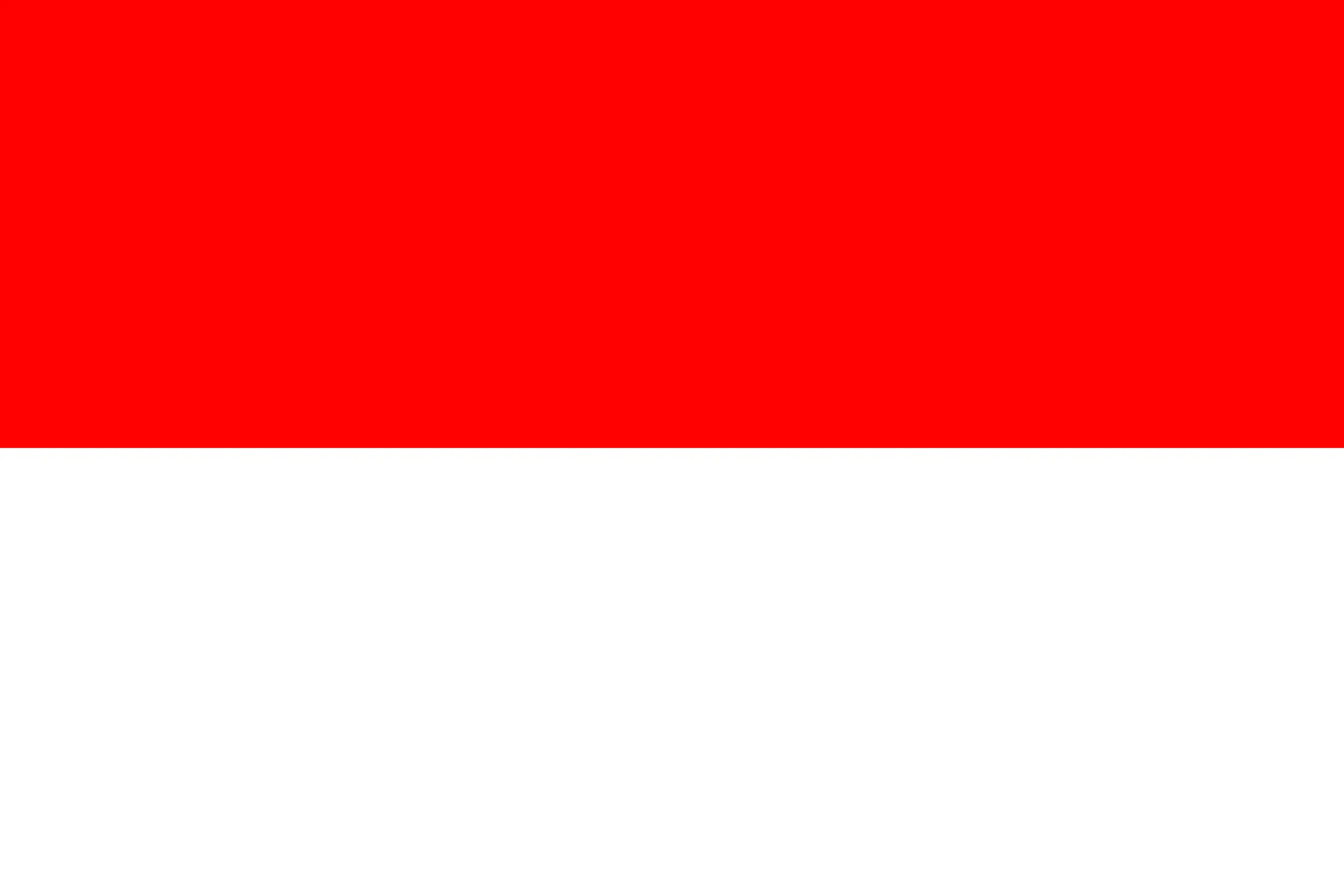 Indonesia Flag