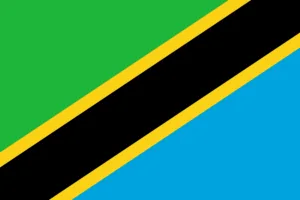 Tanzania Flag