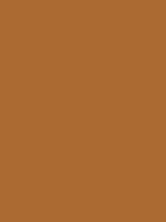 Flag of Arizona 5 Copper #a96a31