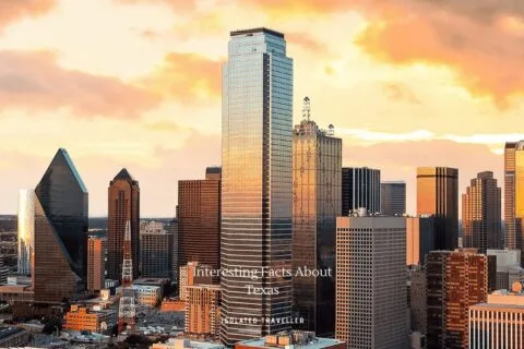 60 Interesting Facts About Texas