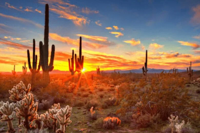 Facts About Surprise, Arizona