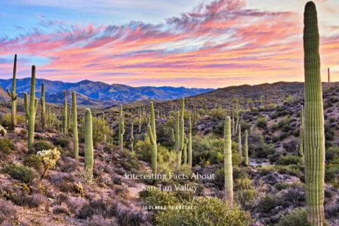10 Interesting Facts About San Tan Valley 6 10 Interesting Facts About San Tan Valley