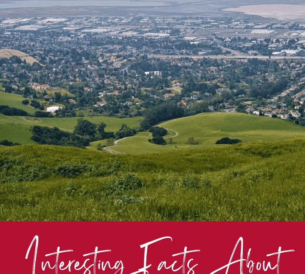 Facts About Fremont