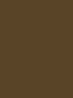 Brown #584528