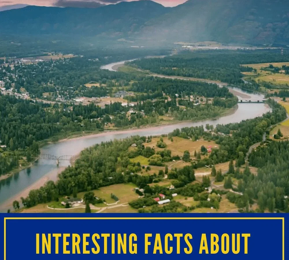 Facts About Kirkland