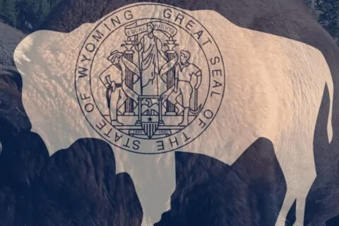 The <mark>flag</mark> of Wyoming
