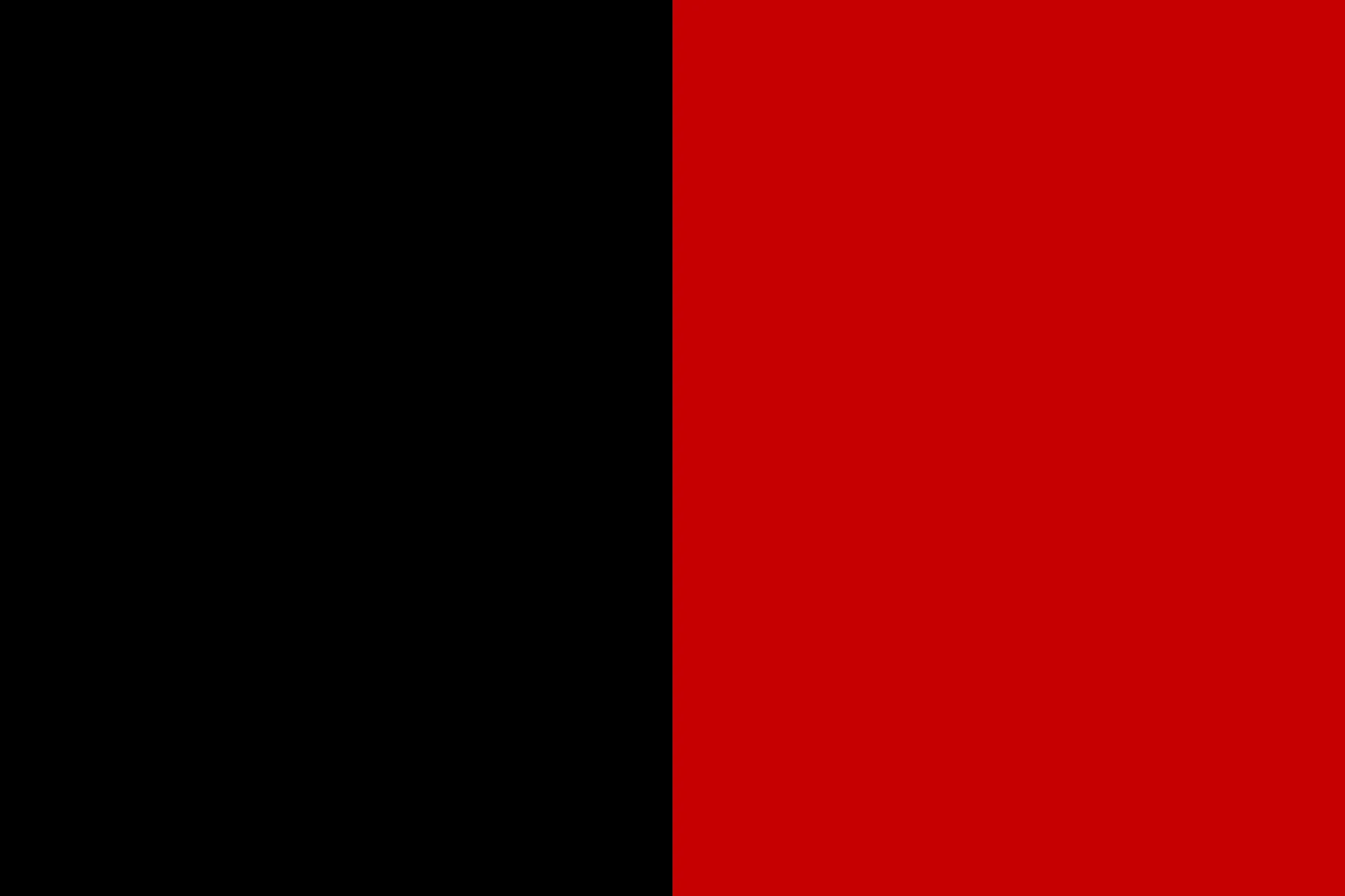 Flag of Aosta Valley 1 Flag of Aosta Valley