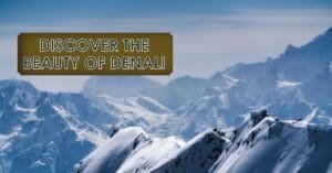 Exploring Denali National Park, A Wilderness Wonderland