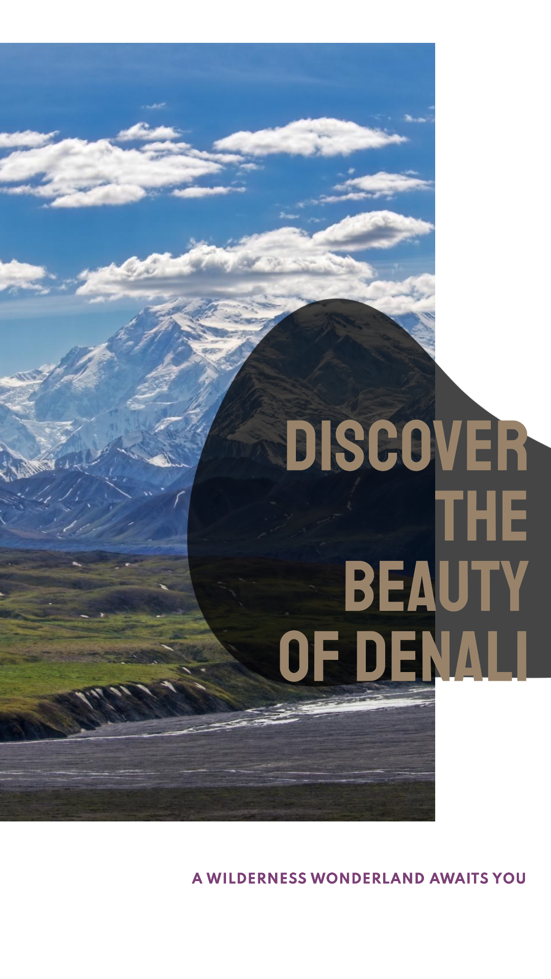 Exploring Denali National Park, A Wilderness Wonderland