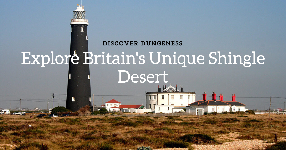 Discover Dungeness: Britain’s Unique Shingle Desert and Nature Reserve