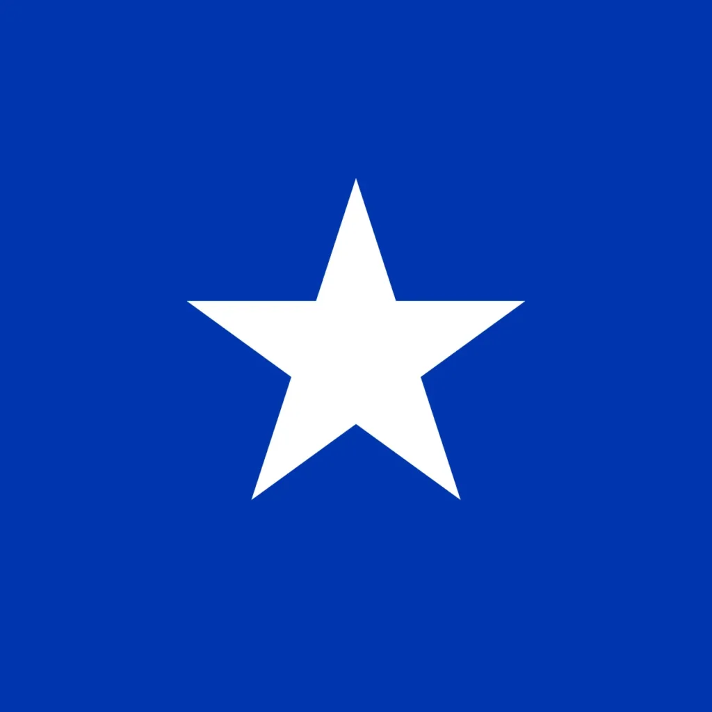 The Flag of the Chilean Navy