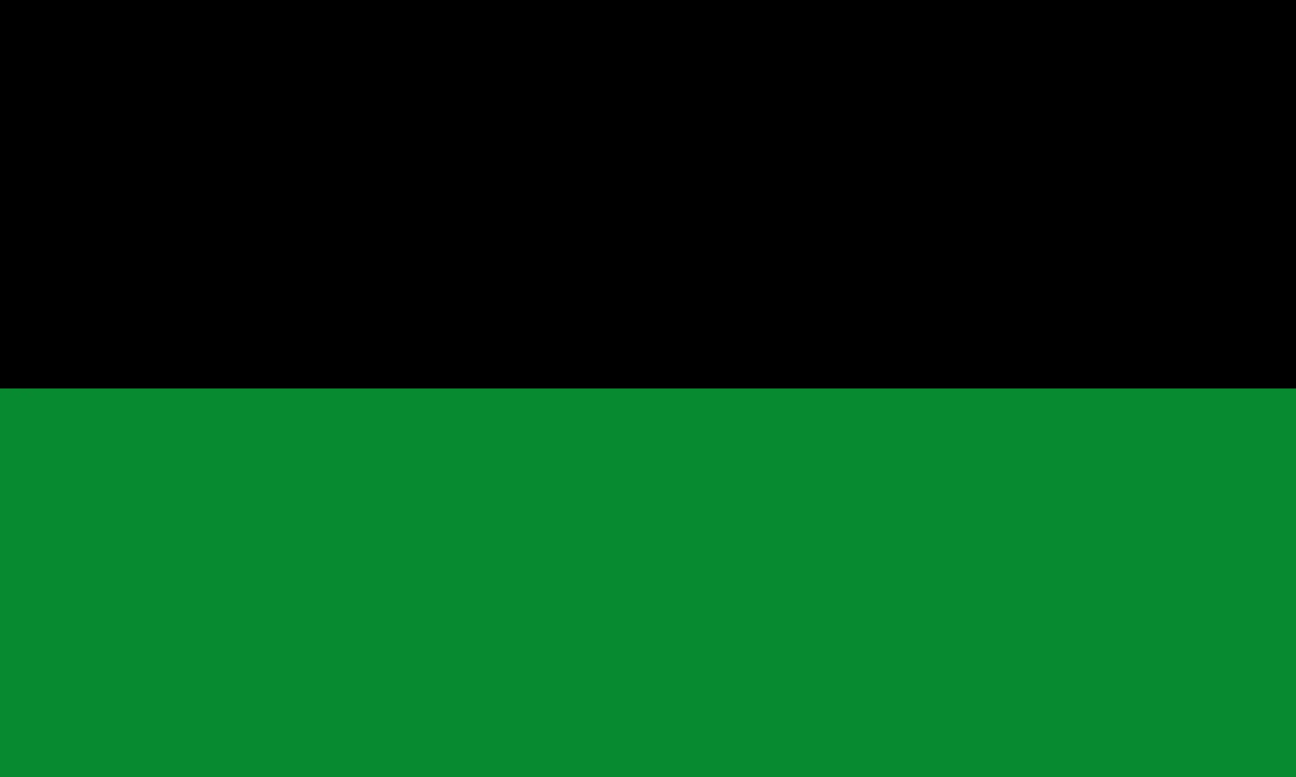 Flag of Mahaica-Berbice Region