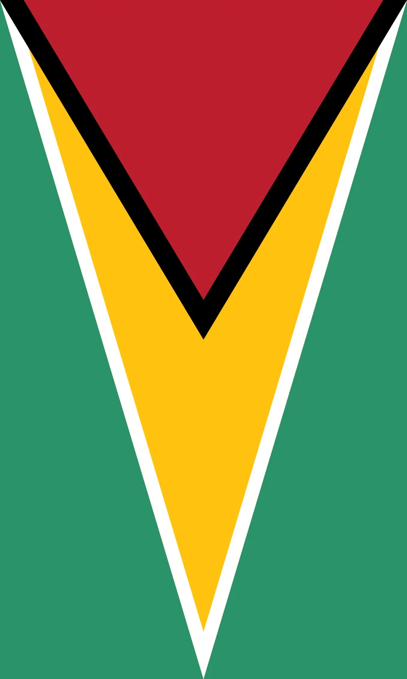Flag of Guyana - Vertical Version